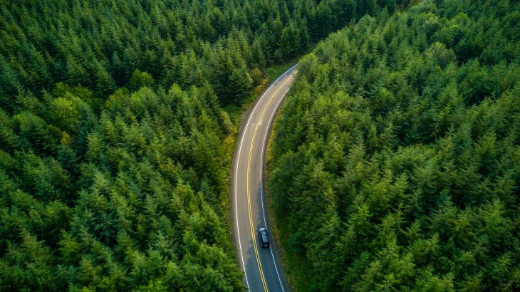 Driving Through Forest - Aerial View
